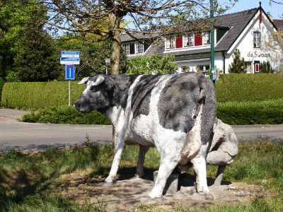 Koe in Eemnes